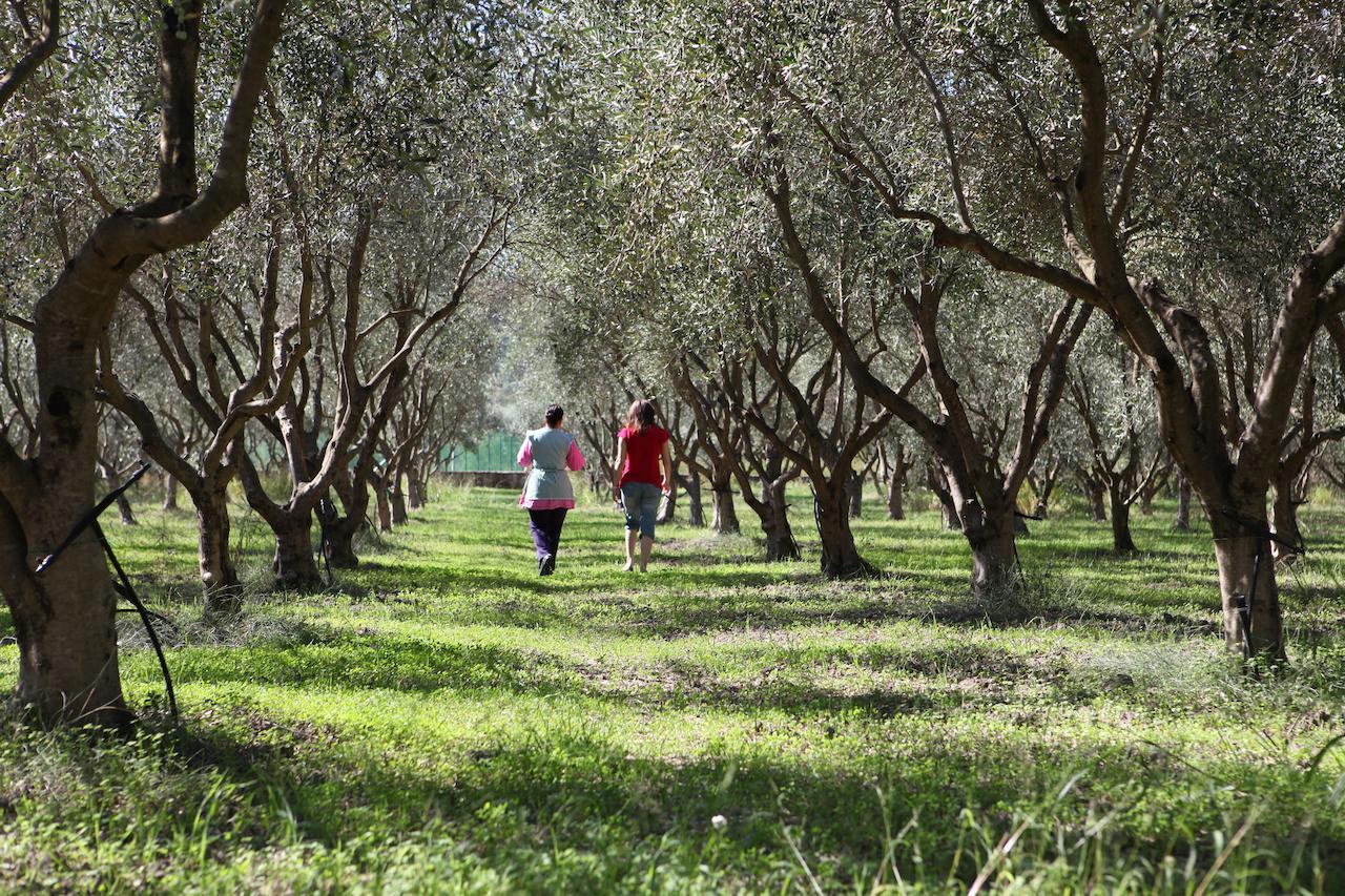 Agriturismo A'Sena-Runcatini Ciminà Dış mekan fotoğraf